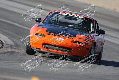 media/Oct-11-2025-Lucky Dog Racing (Sat) [[f5b53147c4]]/5-Fourth Stint/1-Turn 10/